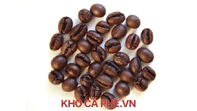 Cà phê Robusta S18 CBK trái chín 98%